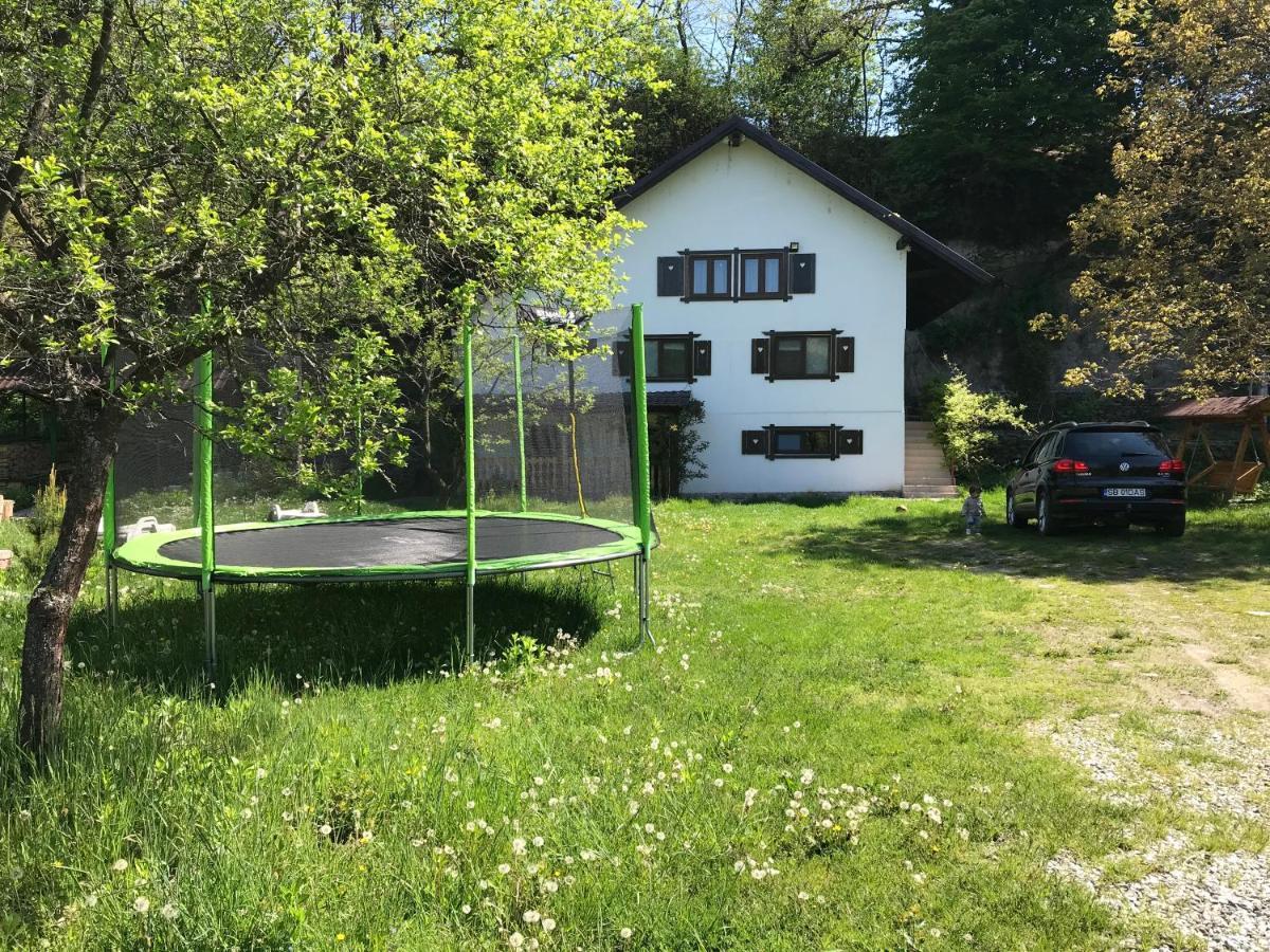 Casa Toma Villa Avrig Dış mekan fotoğraf