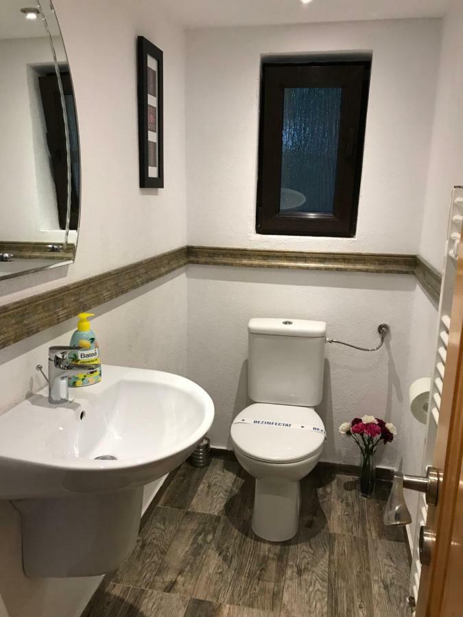 Casa Toma Villa Avrig Dış mekan fotoğraf